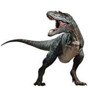 Image is not available